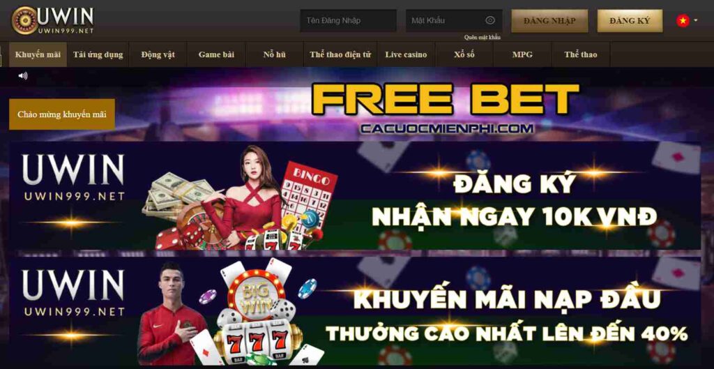 Thành công trong cuộc thi cấp độ Natra88 vào tháng 11 năm 2026 - Natra88