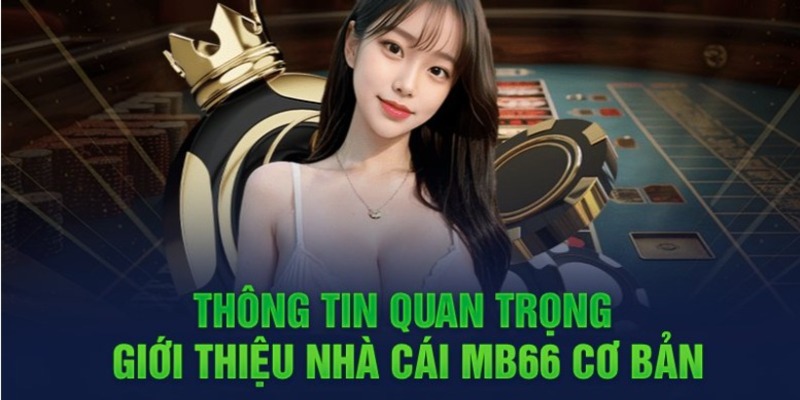 Sunwin cung cấp các chương trình khuyến mãi và mã quà tặng vô cùng hấp dẫn - Sunwin
