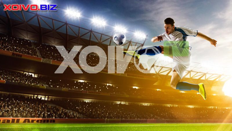 Mẹo chơi Xoc Dia Laucuagame và cách thắng nhiều trận hơn - Laucuagame