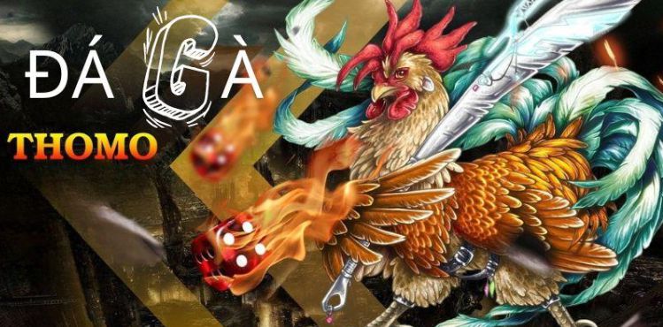 K89bet xây dựng niềm tin của khách hàng - K89bet