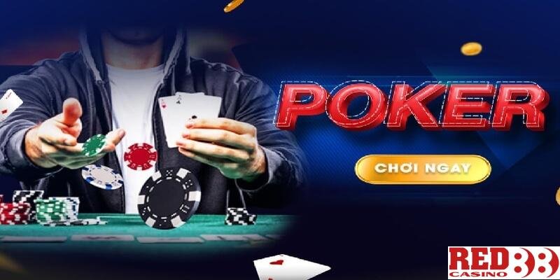 Tôi có thể tham gia vào trải nghiệm dịch vụ của 6Ff bằng cách nào? - 6Ff