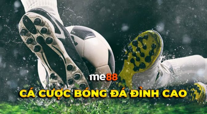 Câu hỏi thường gặp về nền tảng Loto188 - Loto188
