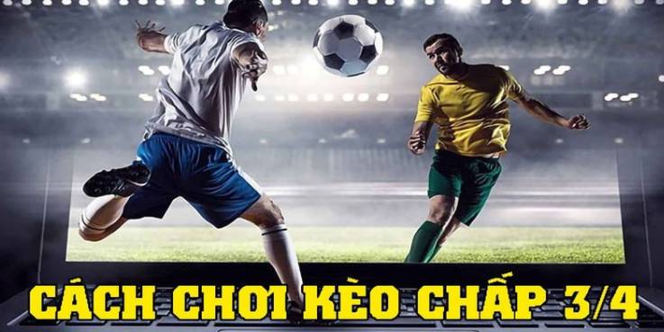Sen88 cung cấp các trò chơi chất lượng cao - Sen88