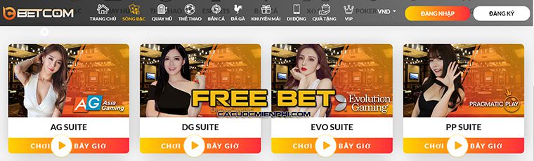 Ứng dụng Ok365 APK có an toàn không? - Ok365