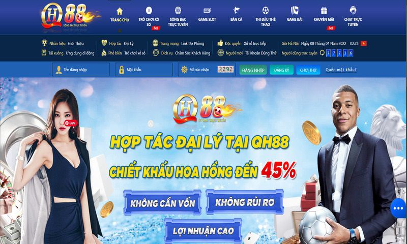 Giải đấu đá gà cấp Bigboss được tổ chức tại Bigboss - Bigboss