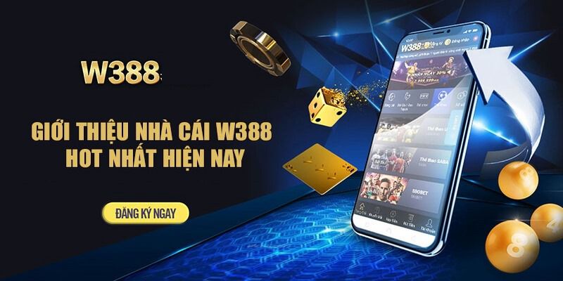 Bình luận của người chơi trên trang chủ 388Bet - 388Bet