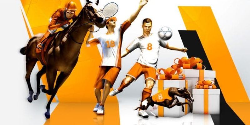 Những giải đấu nào cung cấp tỷ lệ cá cược bóng đá cấp độ Ok365? - Ok365