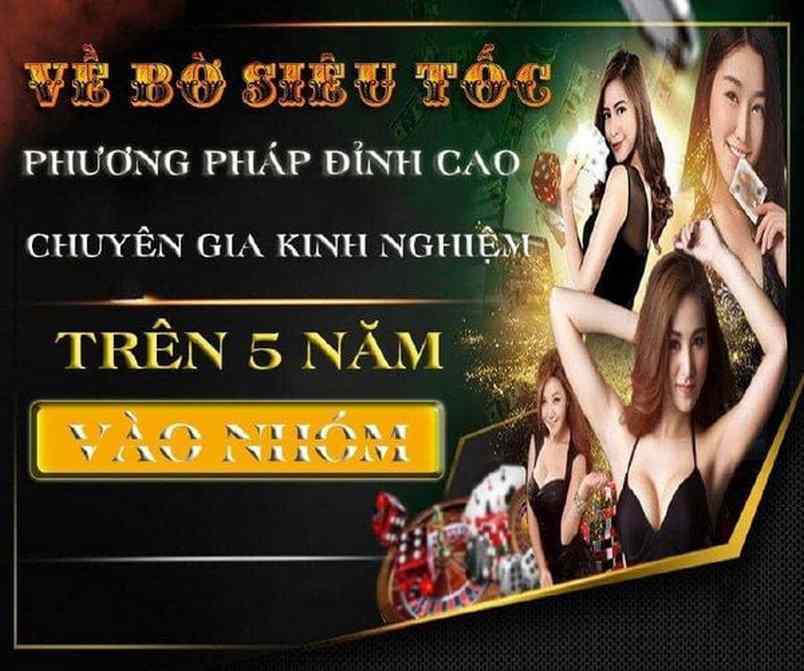 Giới thiệu về gà chọi Ok365 - Ok365