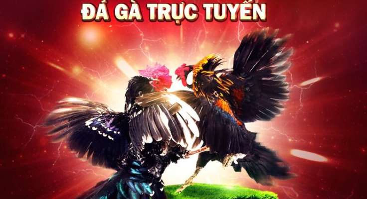Hệ thống đổi thưởng Az888 - Az888